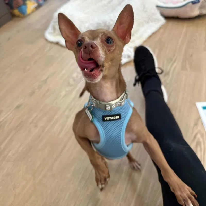 Hamilton thumbnail 5