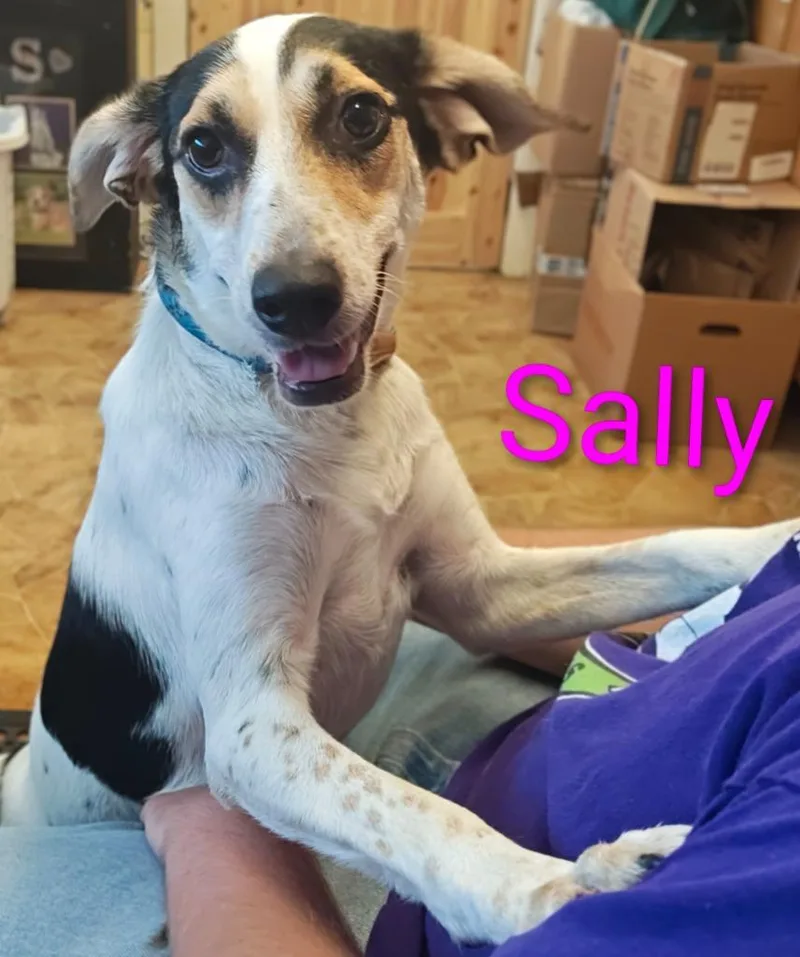 Sally