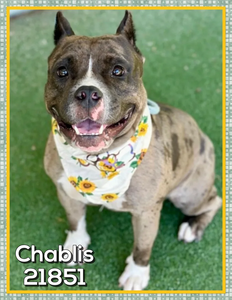 Chablis