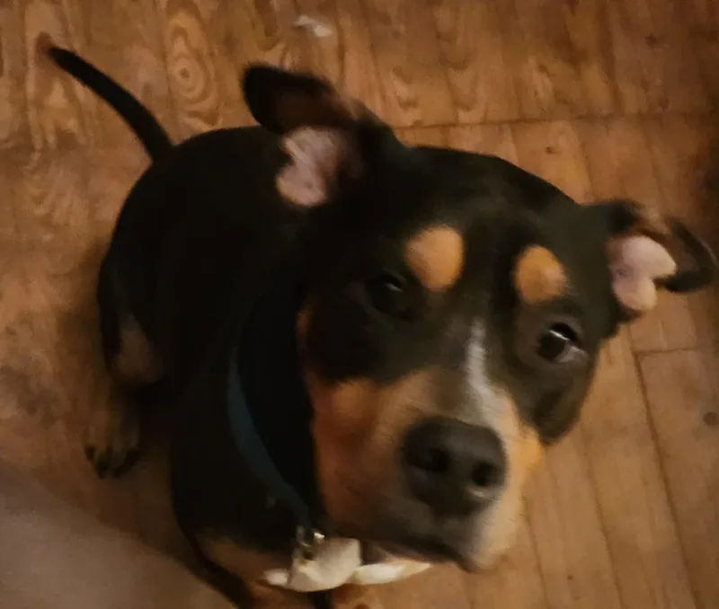 Jack