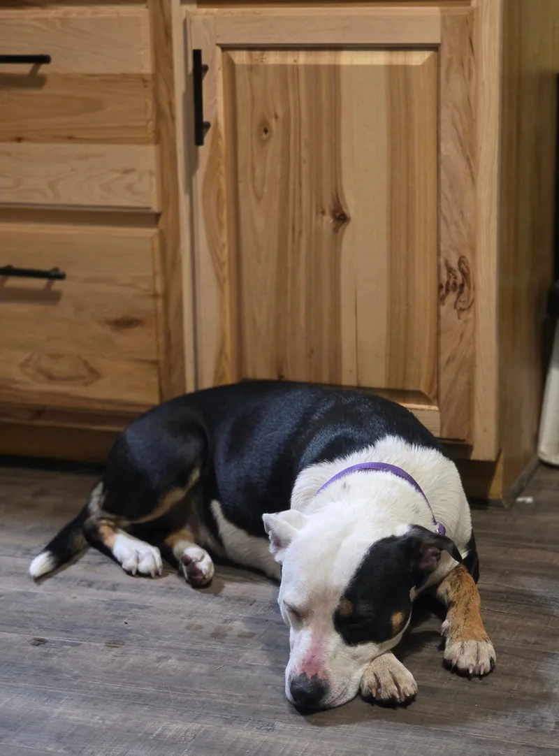 Patience thumbnail 10