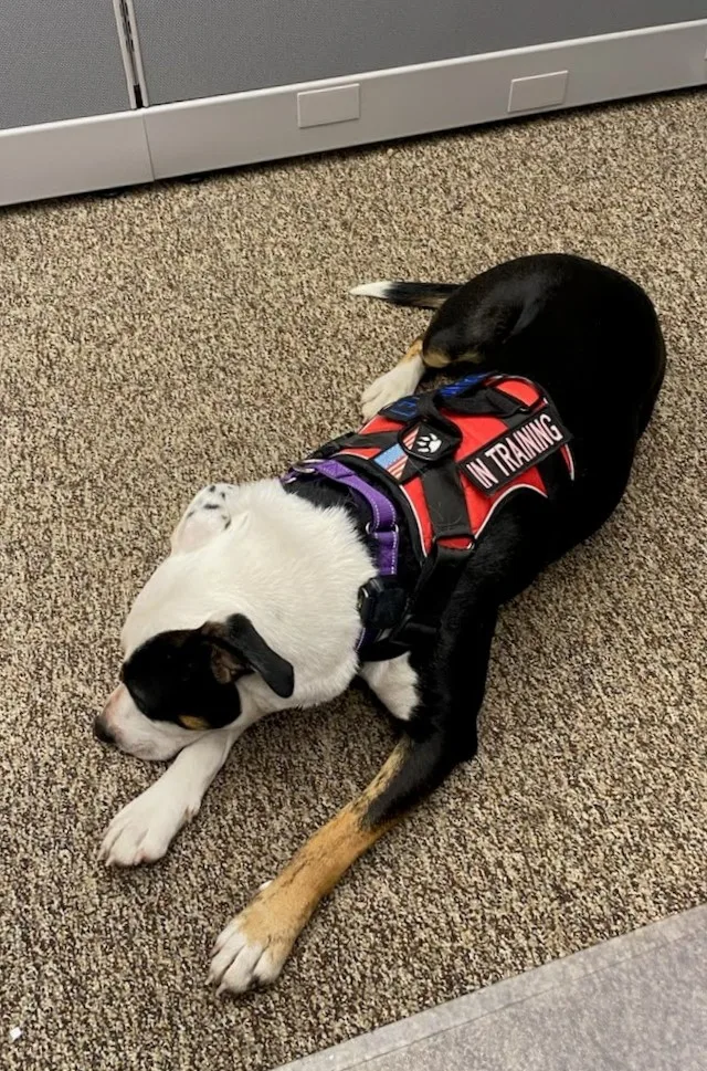 Patience thumbnail 20