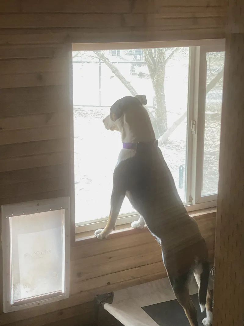 Patience thumbnail 22