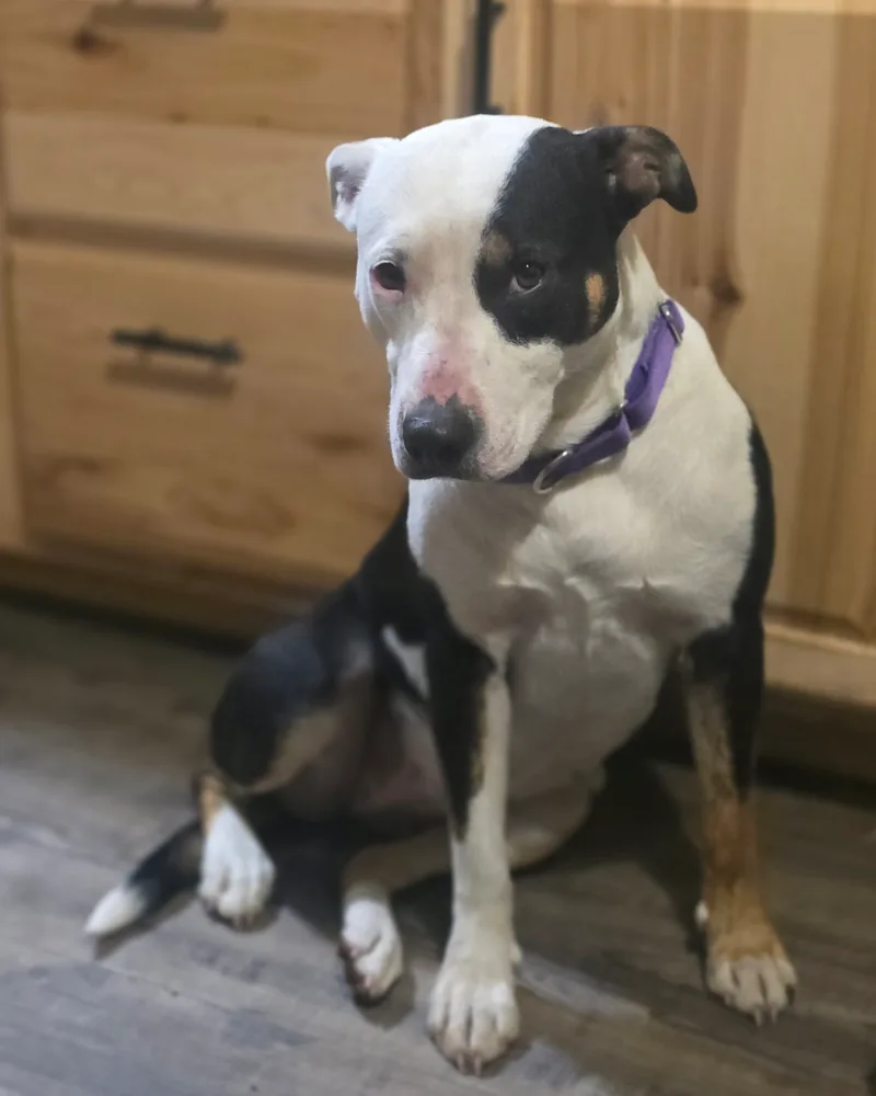 Patience thumbnail 8