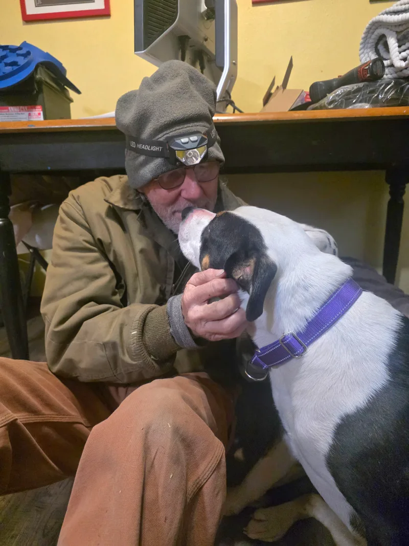 Patience thumbnail 15