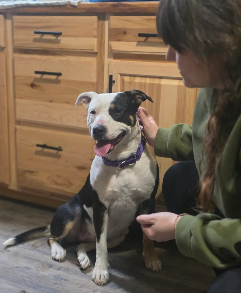 Patience thumbnail 13