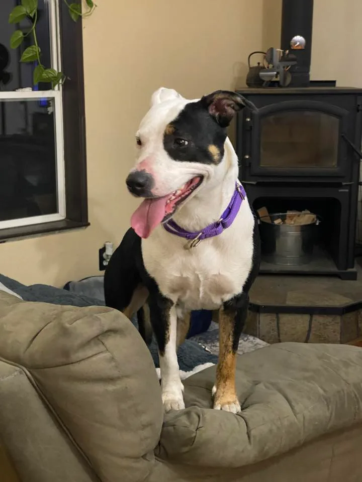 Patience thumbnail 21