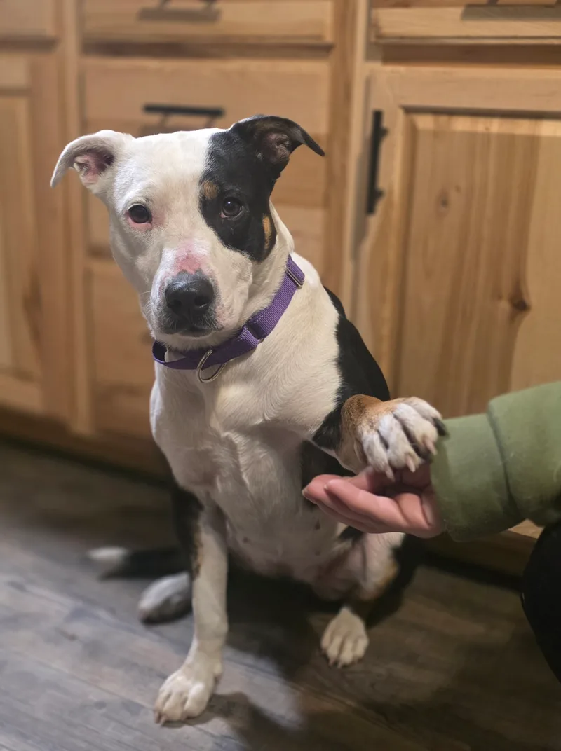 Patience thumbnail 12