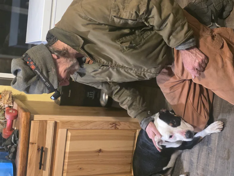 Patience thumbnail 17