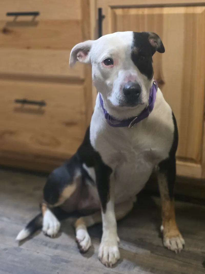 Patience thumbnail 9