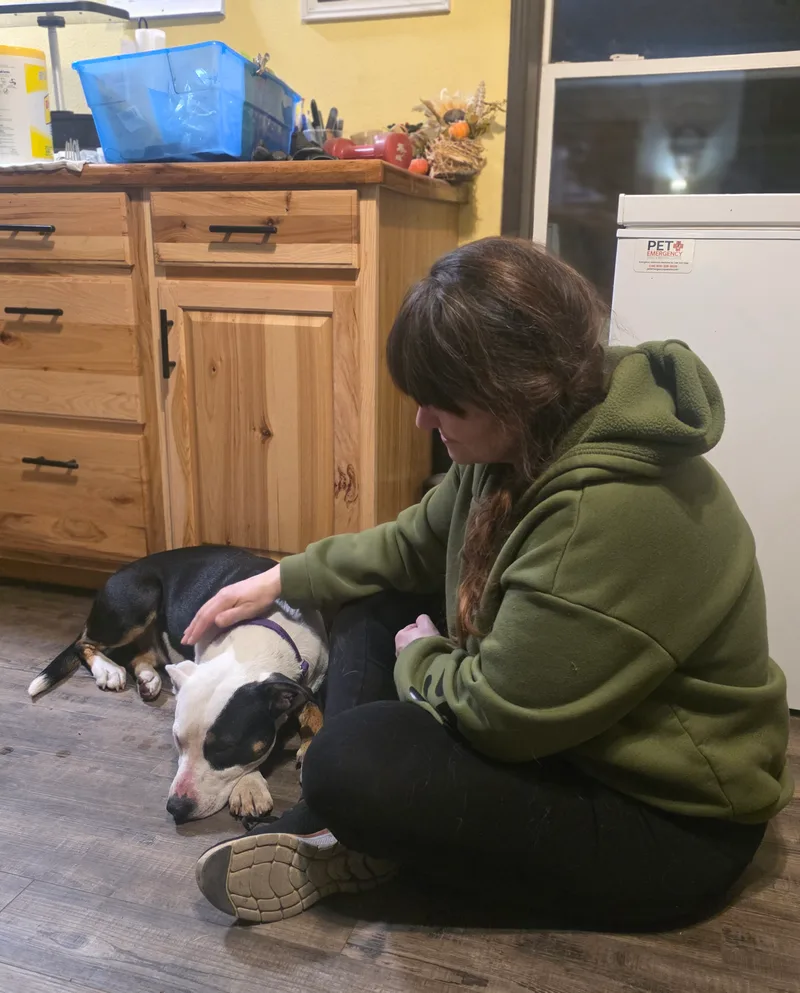 Patience thumbnail 14