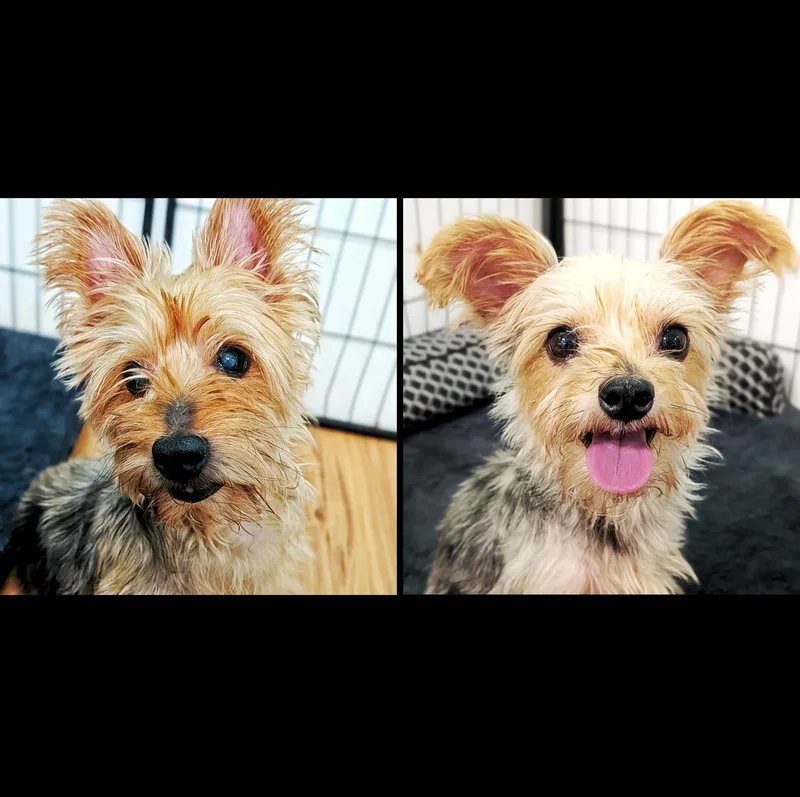 Danny & Daisy thumbnail 3