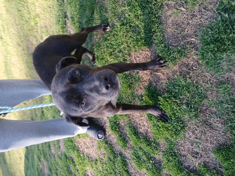 Barcelona thumbnail 2