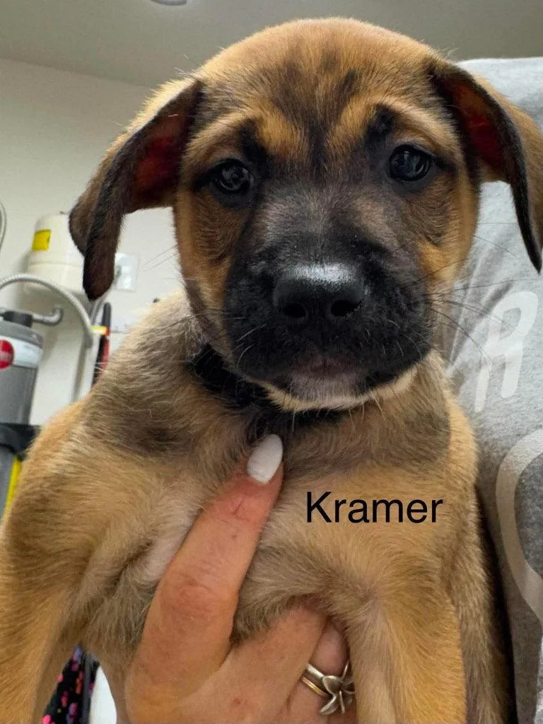 Kramer