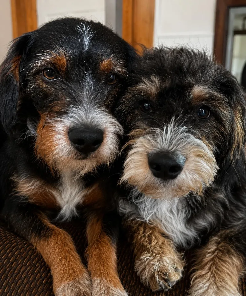 Hudson & Hunter thumbnail 6