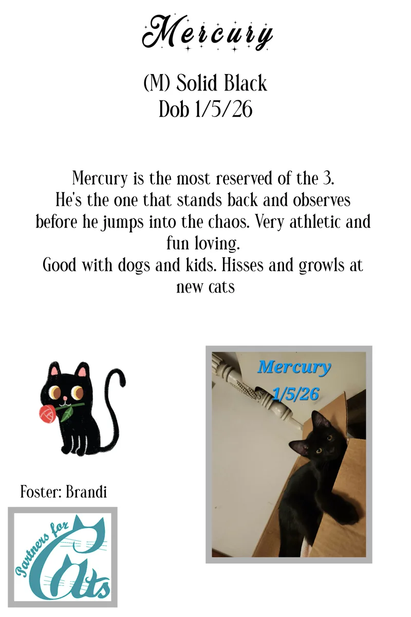 Mercury thumbnail 2