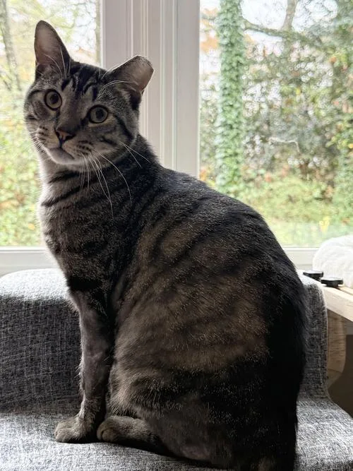 Cubbie And Jesse thumbnail 2