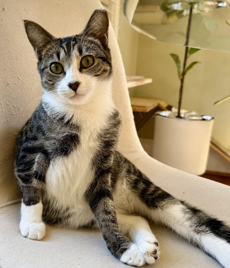 Cubbie And Jesse thumbnail 3