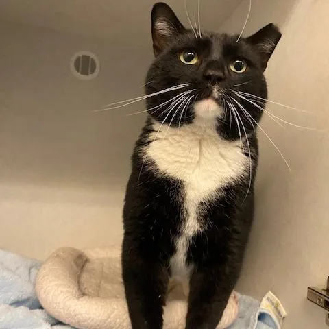 Big Buford thumbnail 2