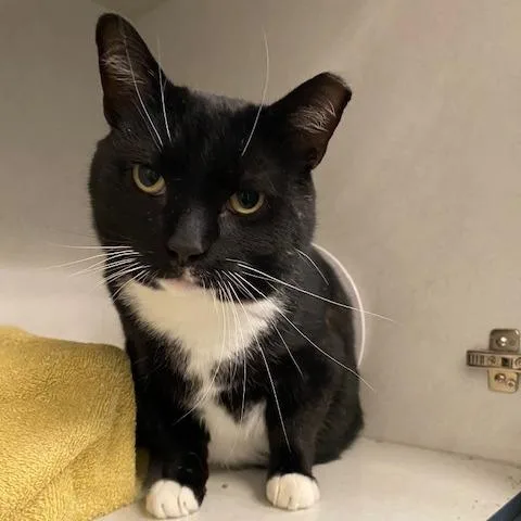 Big Buford thumbnail 3