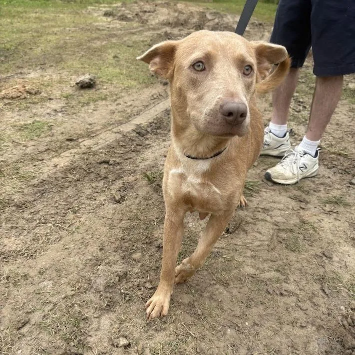 Madeline thumbnail 2