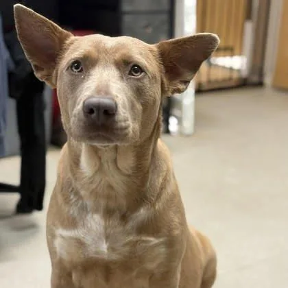 Madeline thumbnail 3