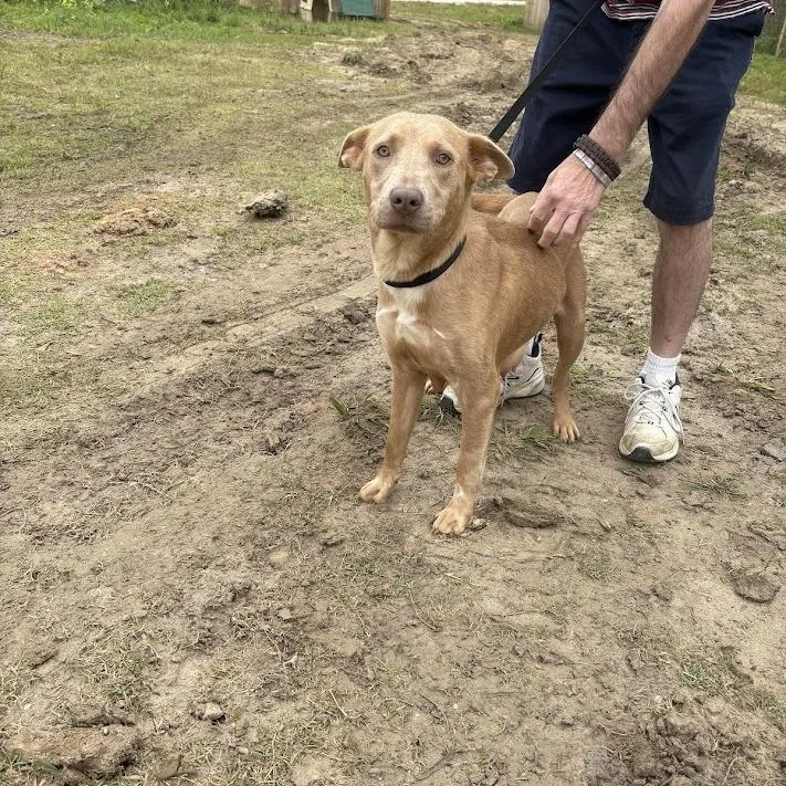 Madeline thumbnail 4