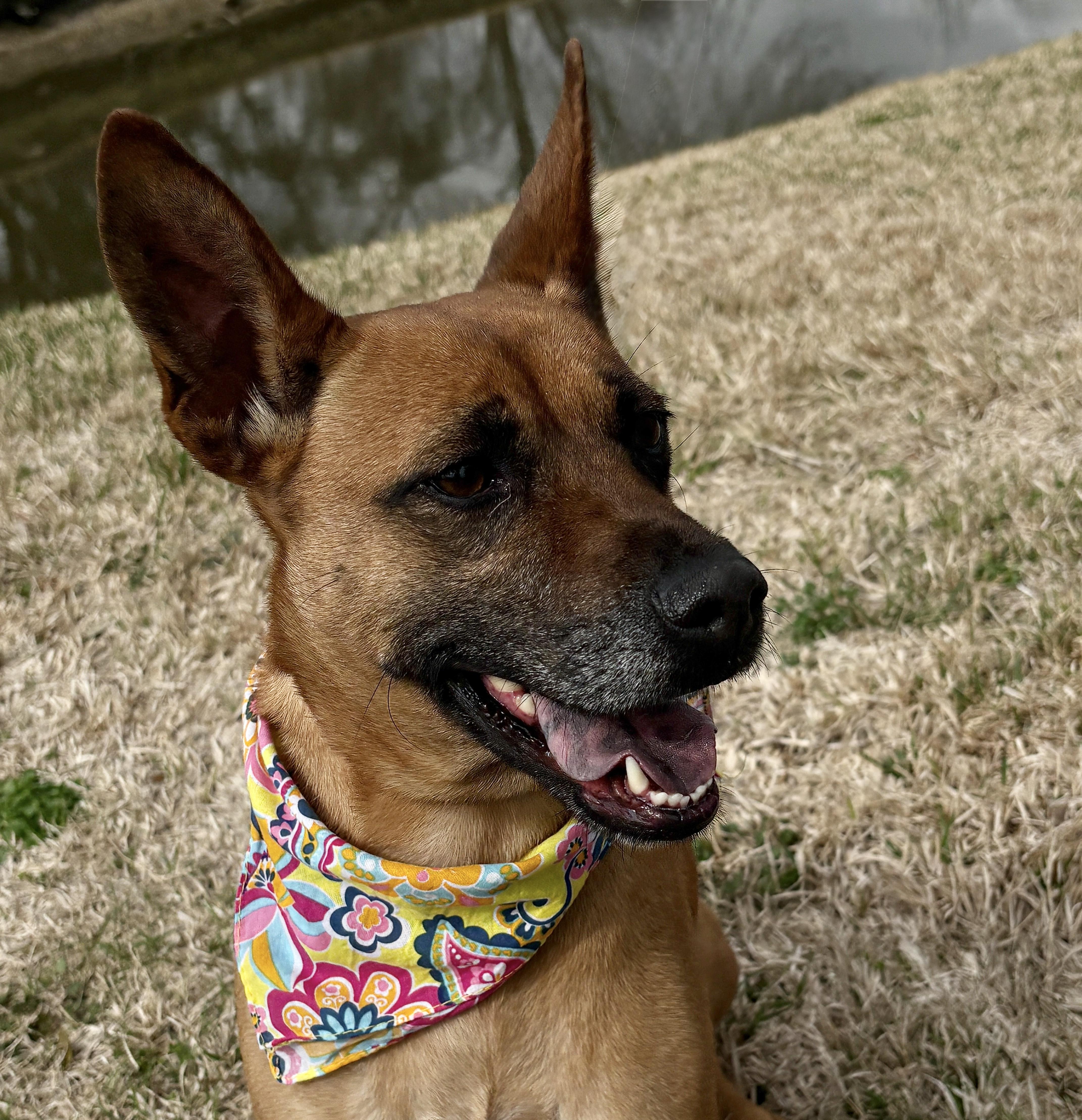 Xena True Sweetie! thumbnail 3