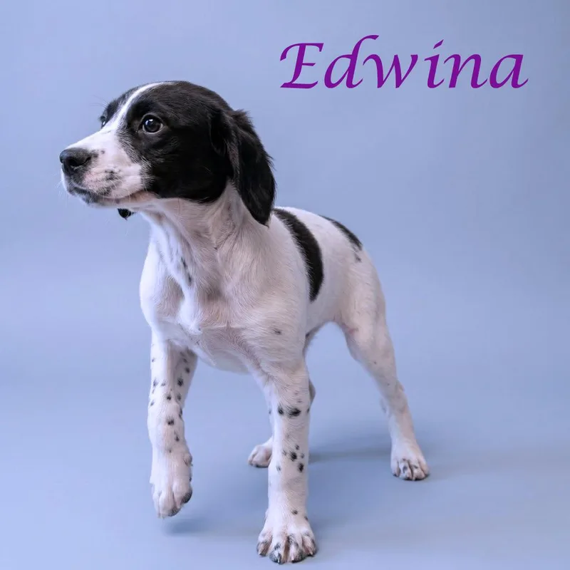 Edwina D thumbnail 2