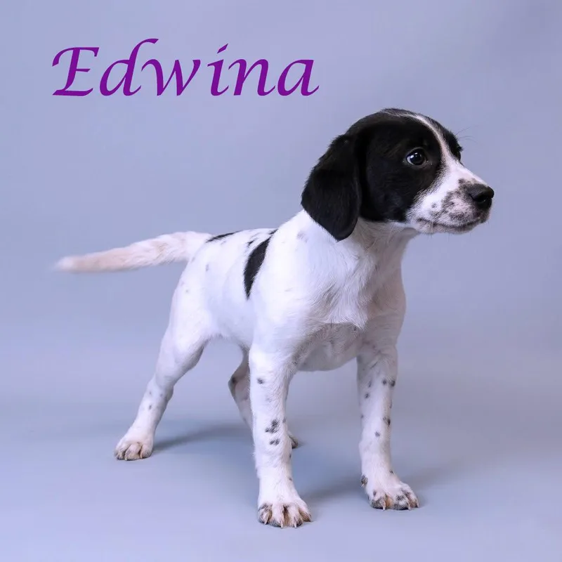 Edwina D thumbnail 3