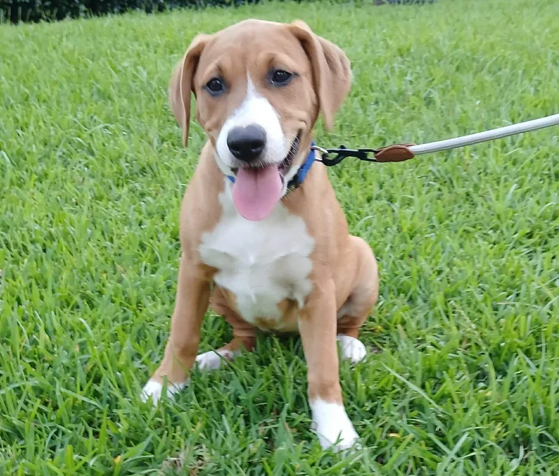 Mia