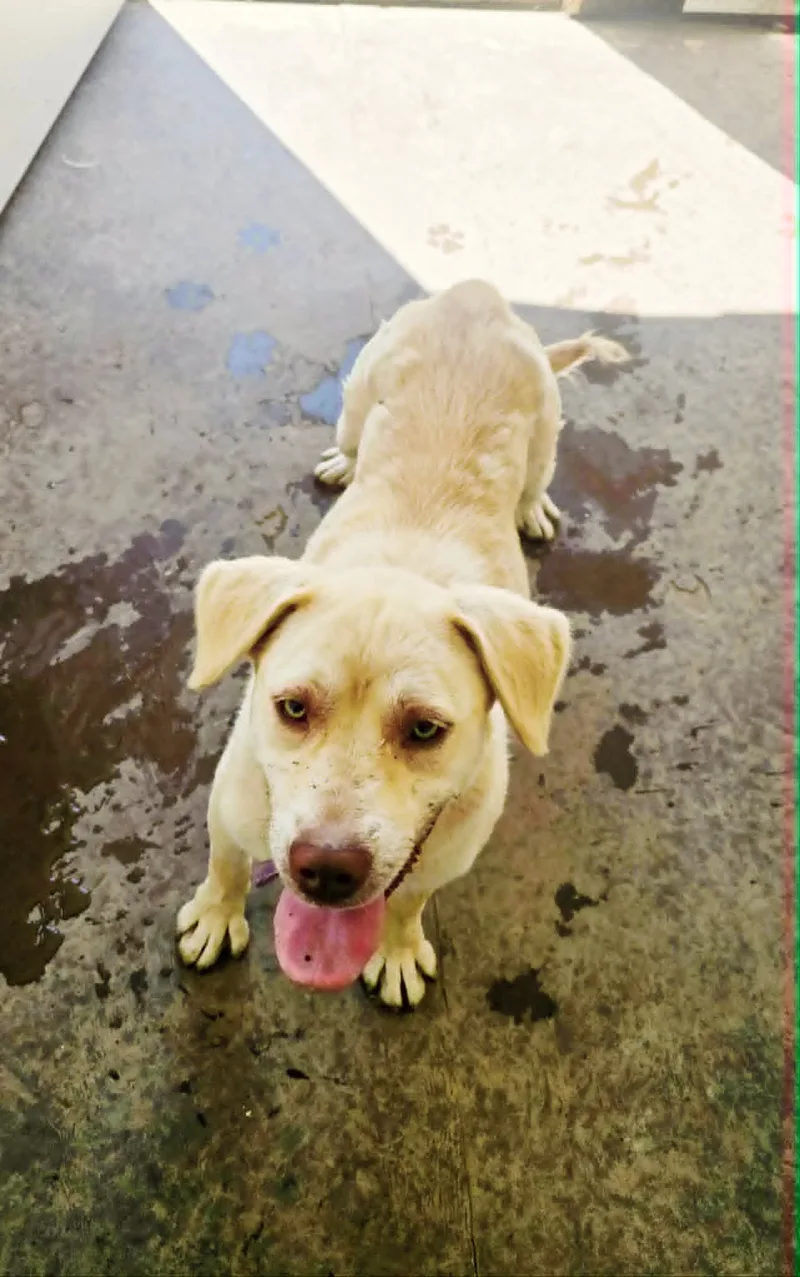 Skye