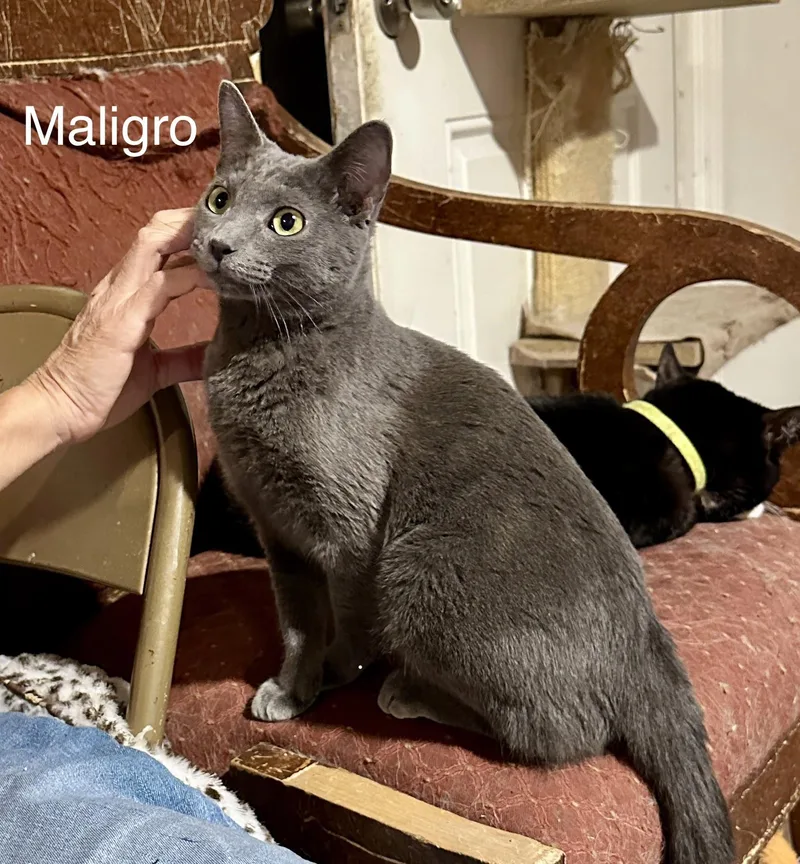 Milagro