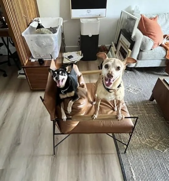 Spanky And Pepper thumbnail 2