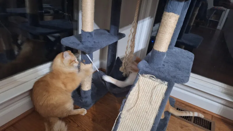 School Bus Driver thumbnail 3