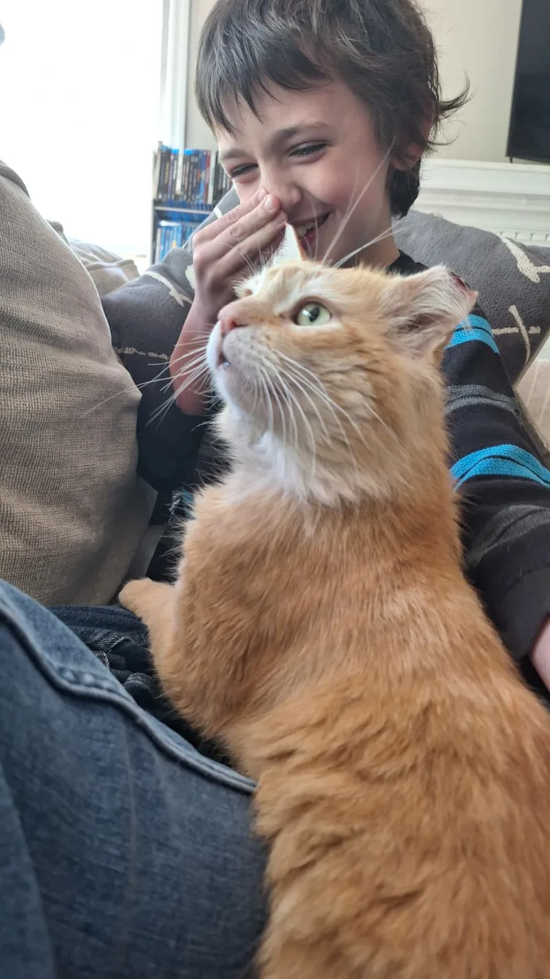 School Bus Driver thumbnail 4