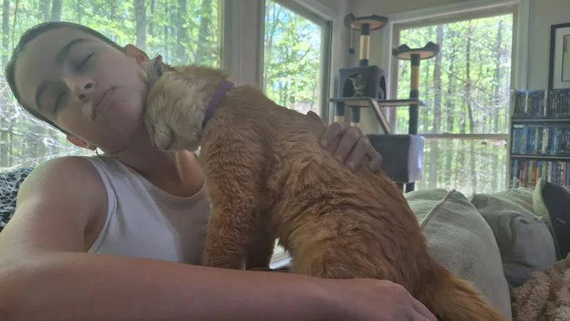 School Bus Driver thumbnail 6