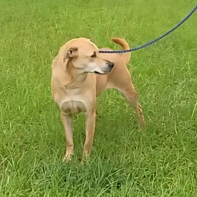 Danielle thumbnail 2