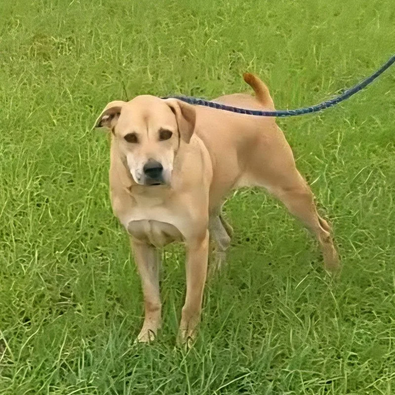 Danielle thumbnail 4