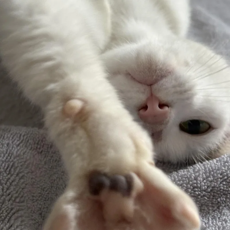 Ella thumbnail 4