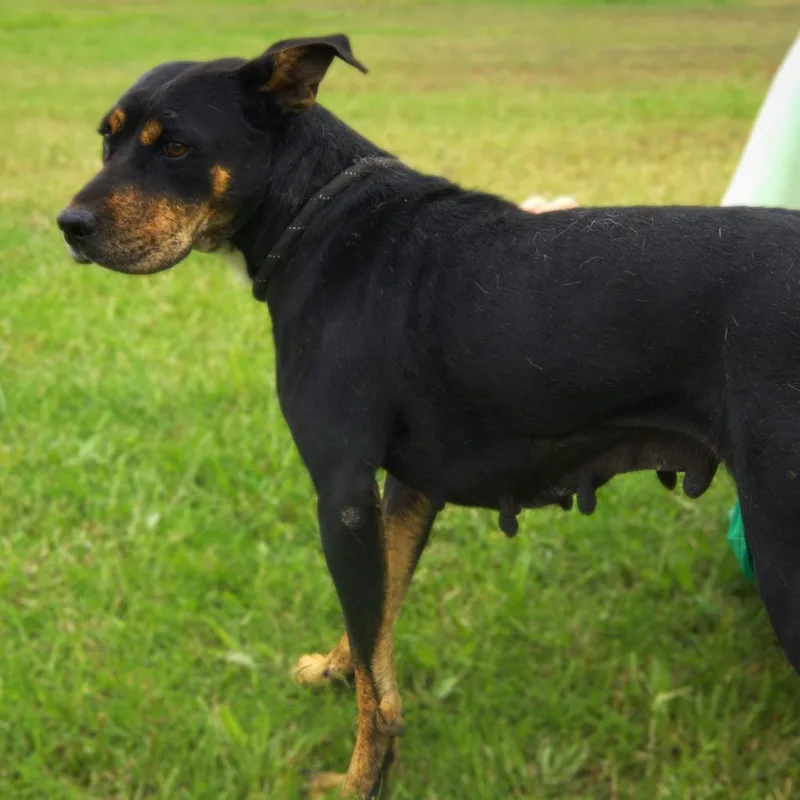 Lizzie Jum thumbnail 2