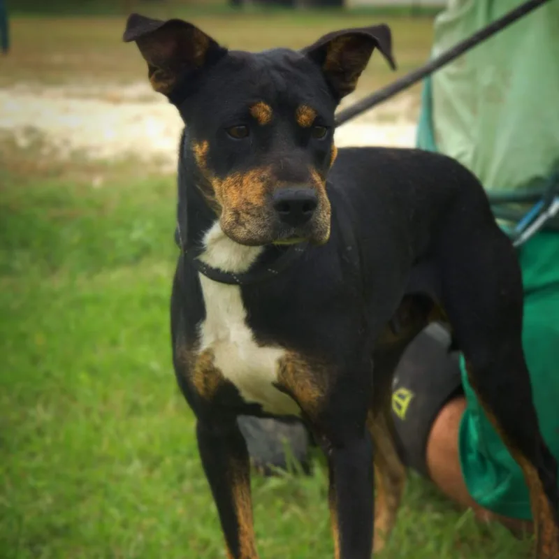 Lizzie Jum thumbnail 4