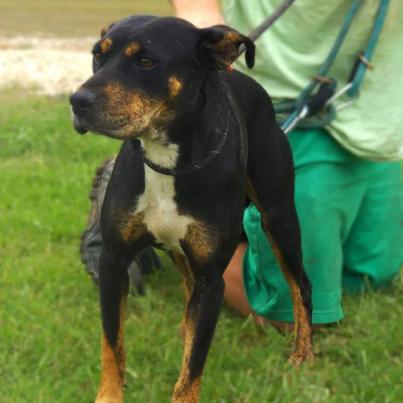 Lizzie Jum thumbnail 5