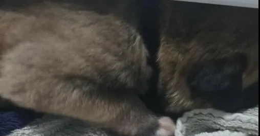 Grumman Located In Nv