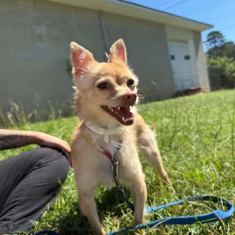 Brenda thumbnail 3