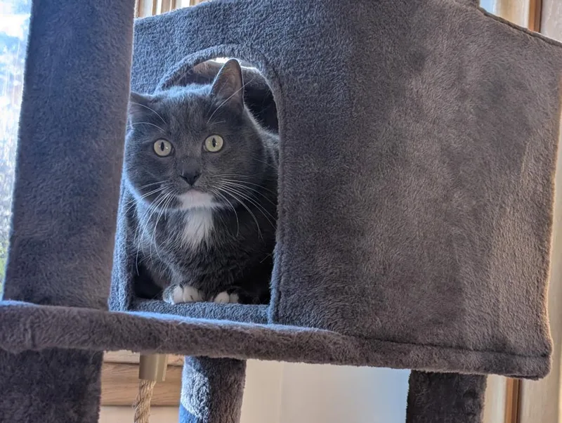 Tobi  Milo thumbnail 2