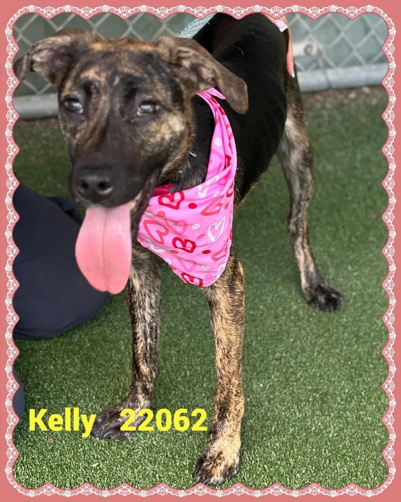 Kelly thumbnail 6