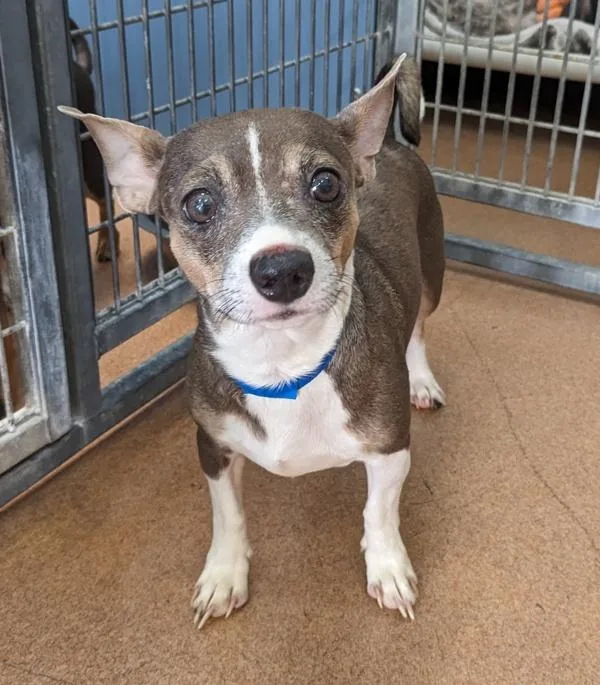 Fitzgerald thumbnail 2