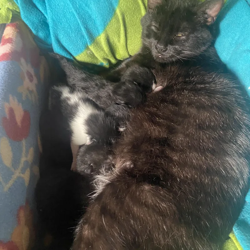 Raya and Ziggy thumbnail 2