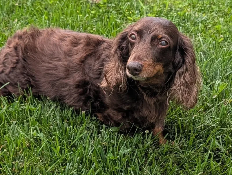 Winston aka Winnie in thumbnail 5